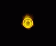 Tauro-19.gif