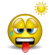 smiley113.gif